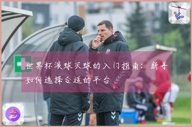 世界杯滚球买球的入门指南：新手如何选择合适的平台