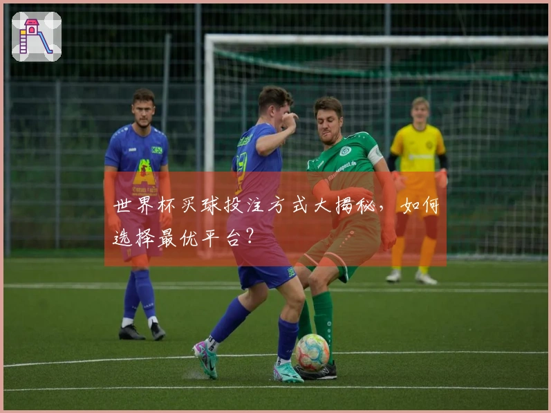 世界杯买球投注方式大揭秘，如何选择最优平台？