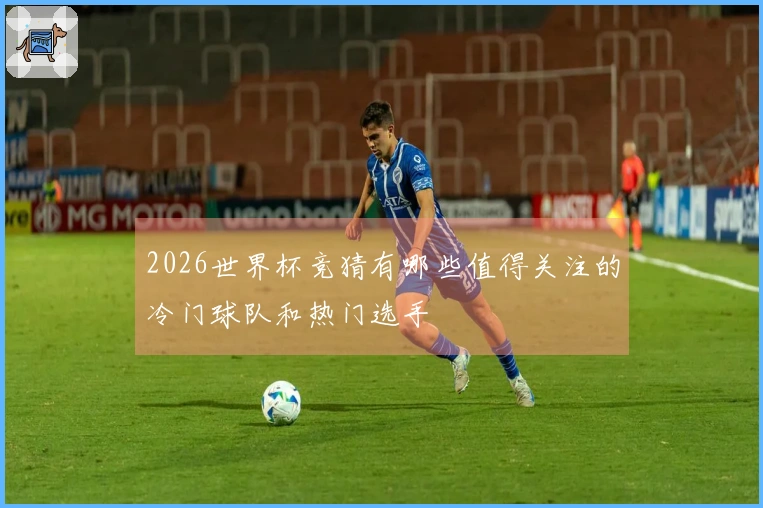 2026世界杯竞猜有哪些值得关注的冷门球队和热门选手