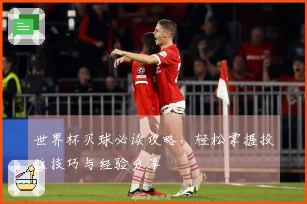 世界杯买球必读攻略，轻松掌握投注技巧与经验分享