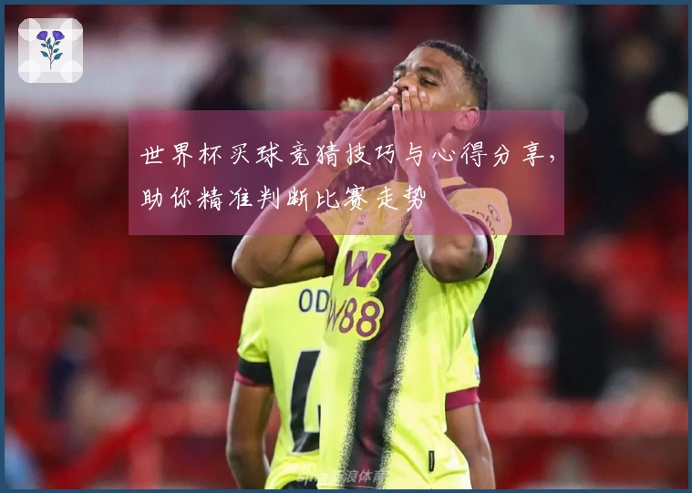 世界杯买球竞猜技巧与心得分享，助你精准判断比赛走势