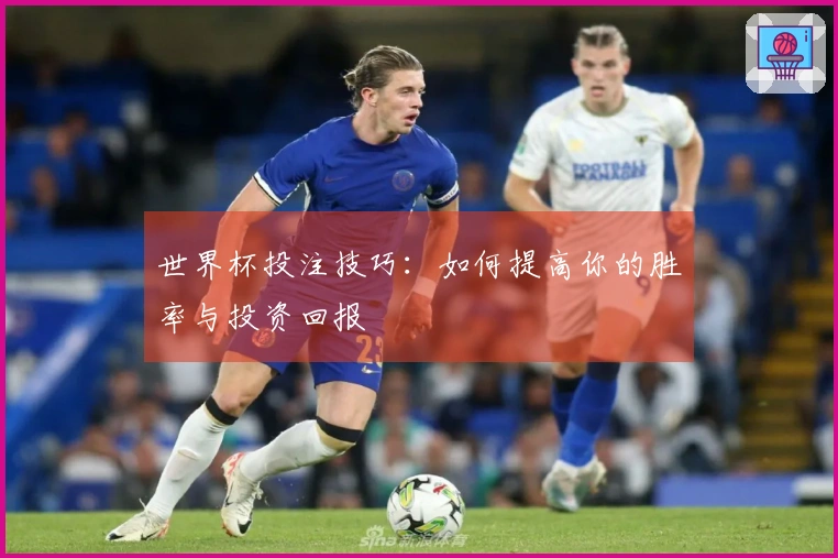 世界杯投注技巧：如何提高你的胜率与投资回报