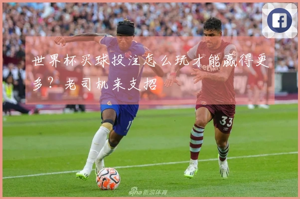 世界杯买球投注怎么玩才能赢得更多？老司机来支招