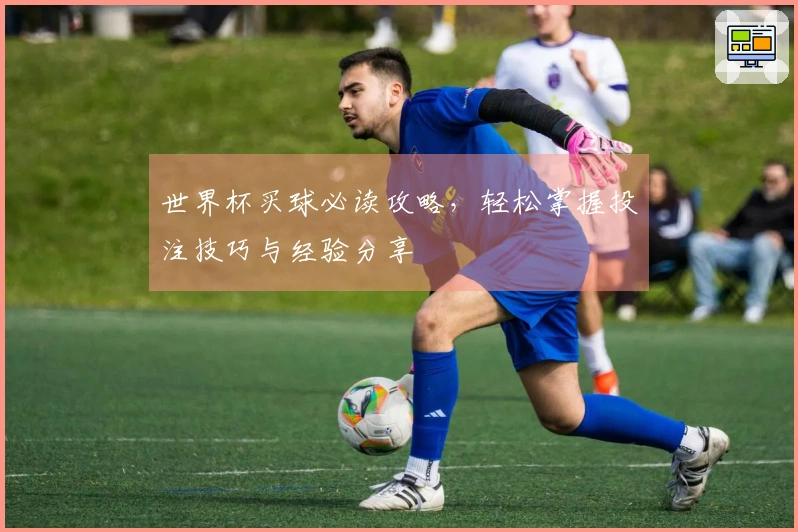 世界杯买球必读攻略，轻松掌握投注技巧与经验分享
