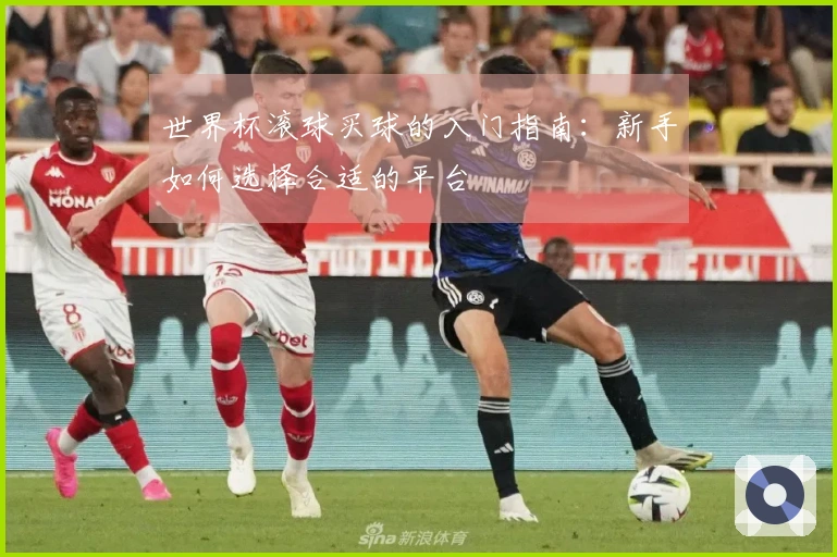 世界杯滚球买球的入门指南：新手如何选择合适的平台