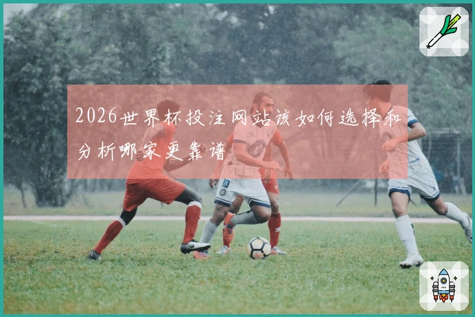 2026世界杯投注网站该如何选择和分析哪家更靠谱