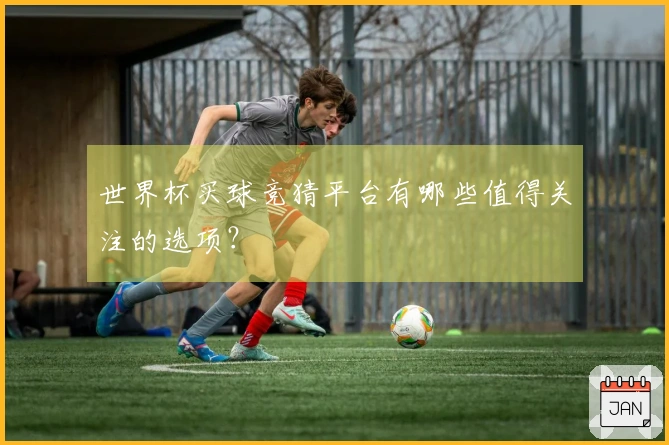 世界杯买球竞猜平台有哪些值得关注的选项？