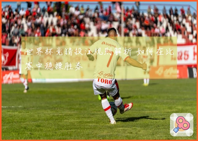 世界杯竞猜投注规则解析 如何在比赛中稳操胜券