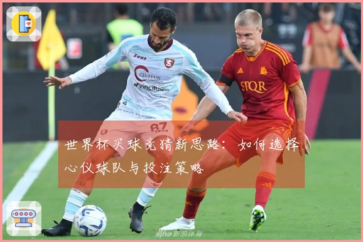 世界杯买球竞猜新思路：如何选择心仪球队与投注策略