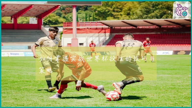 如何掌握实战世界杯投注的技巧与策略