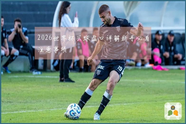 2026世界杯买球盘口详解新手必看注意事项
