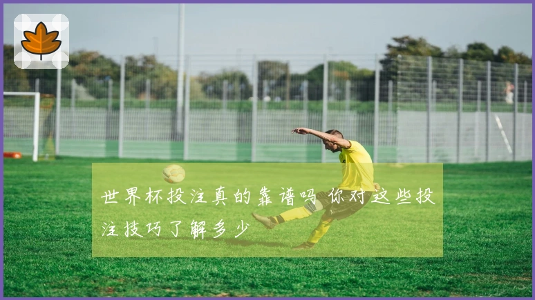 世界杯投注真的靠谱吗 你对这些投注技巧了解多少