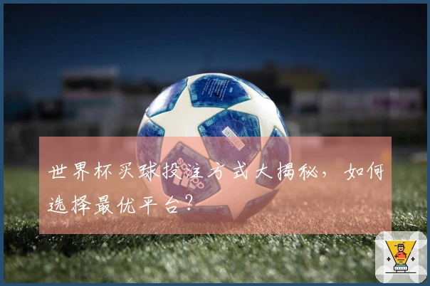 世界杯买球投注方式大揭秘，如何选择最优平台？