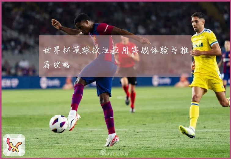 世界杯滚球投注应用实战体验与推荐攻略