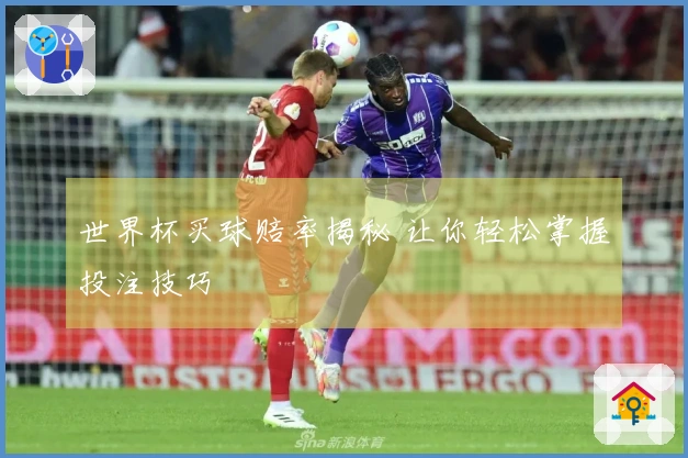 世界杯买球赔率揭秘 让你轻松掌握投注技巧