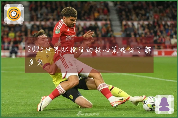 2026世界杯投注的核心策略你了解多少