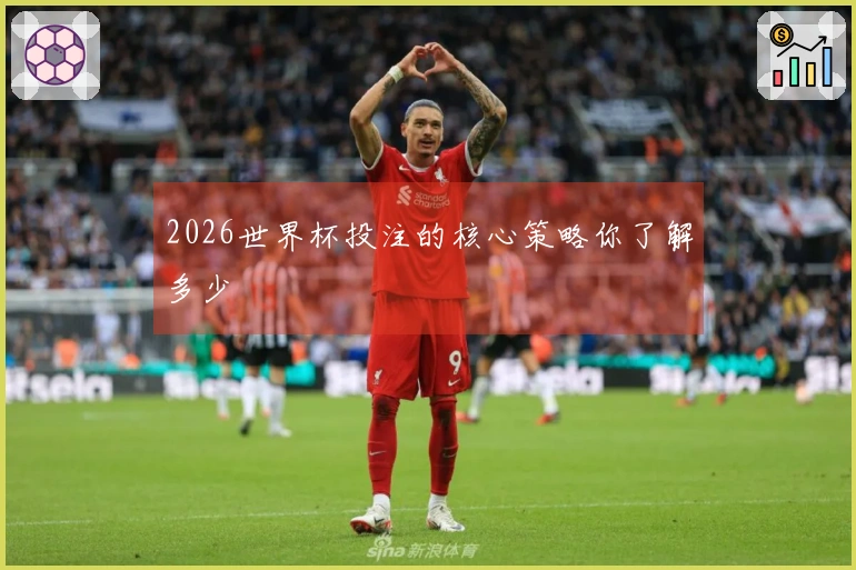 2026世界杯投注的核心策略你了解多少