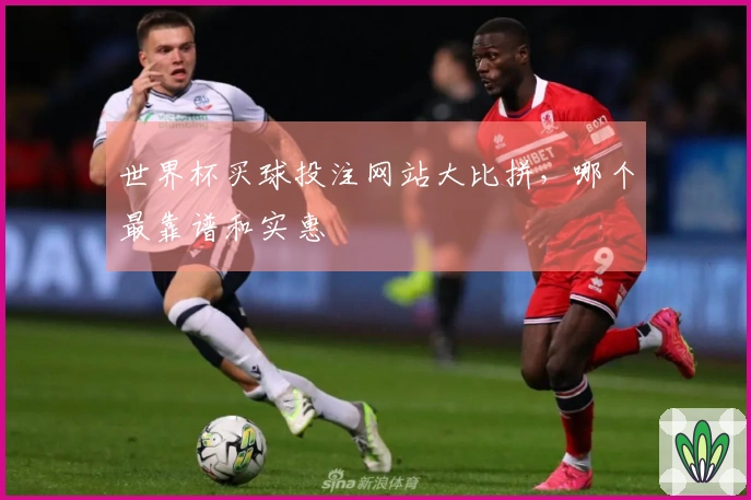 世界杯买球投注网站大比拼，哪个最靠谱和实惠