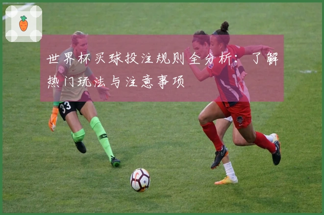 世界杯买球投注规则全分析：了解热门玩法与注意事项