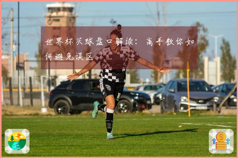 世界杯买球盘口解读：高手教你如何避免误区