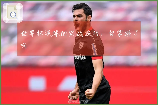世界杯滚球的实战技巧，你掌握了吗